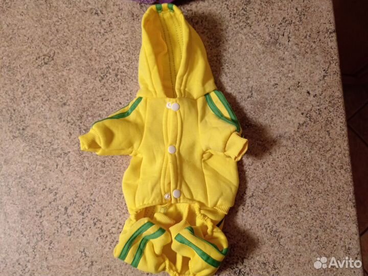 Одежда для собак