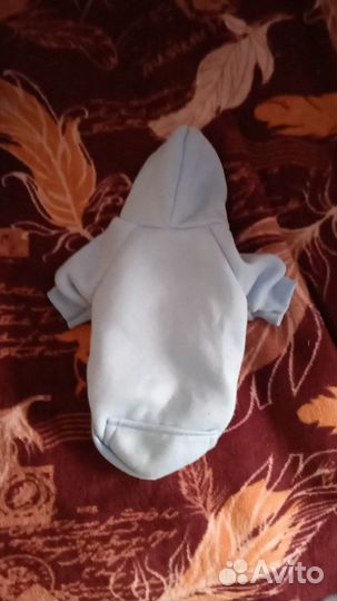 Толстовка для собак мелких парод и кошек