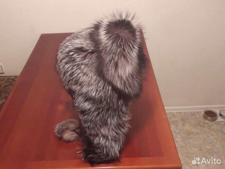 Шапка из меха чернобурки