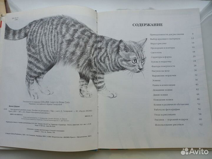 Книга Как нарисовать кошку