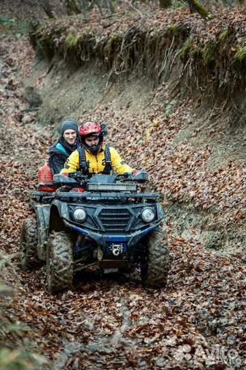 Квадроцикл Sharmax Force 620 Efi (P)