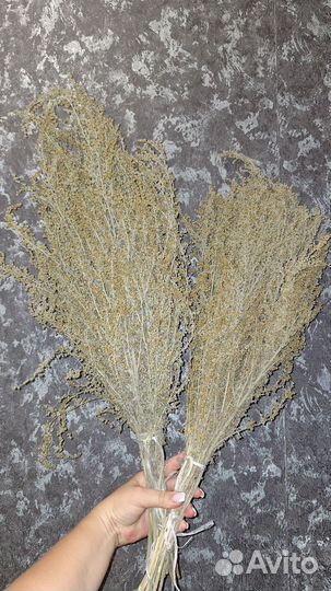 Запарки для бани, чана, ван