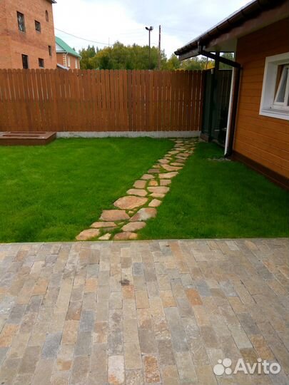 Семена газонной травы