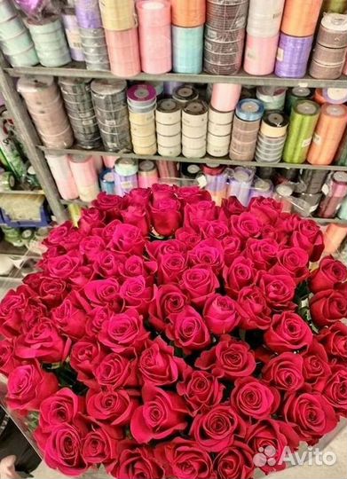 Розы гиганты 140 150 160 170 180 200