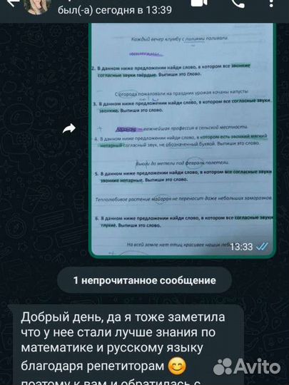 Репетитор по русскому языку и литературе