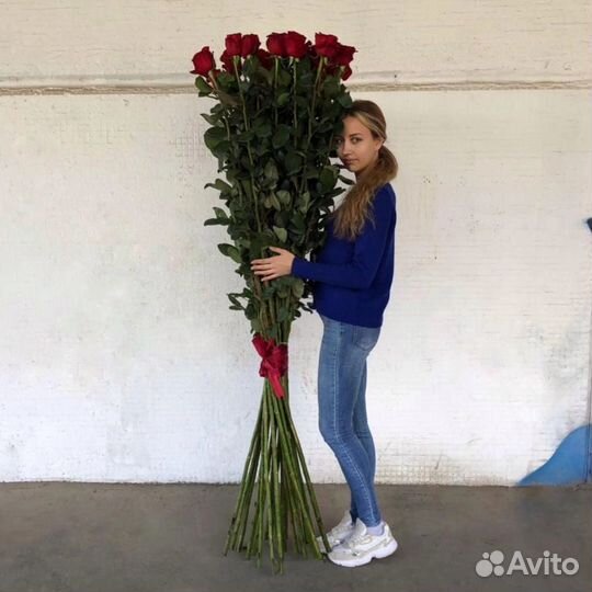 Высокие розы