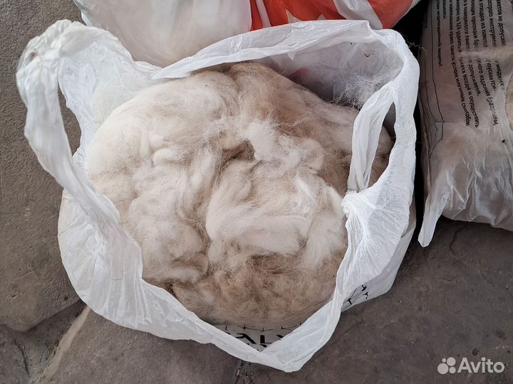 Собачья шерсть