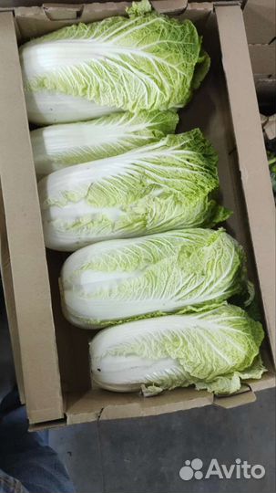 Капуста и кабачки