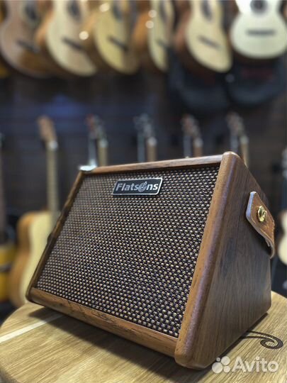 Flatsons Crush-15 Комбоусилитель, 15В