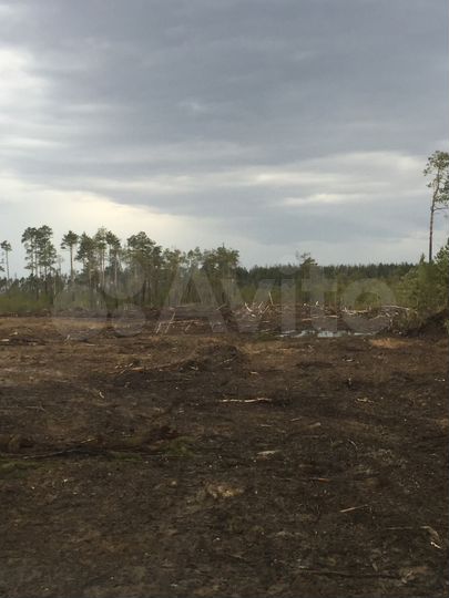 Участок 10 сот. (ИЖС)