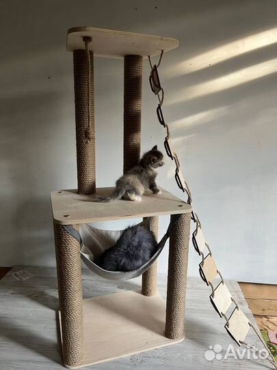 Домик для кошки с когтеточкой