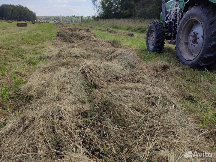 Сено луговое в тюках 2024