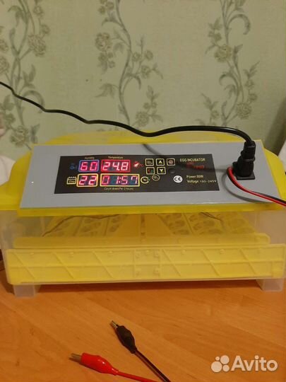 Инкубатор для яиц автоматический бу