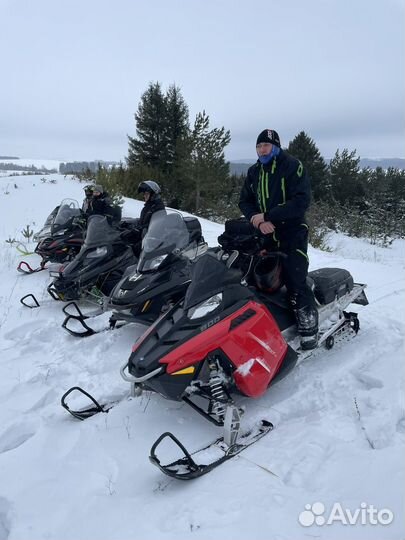 Поларис рмк 800