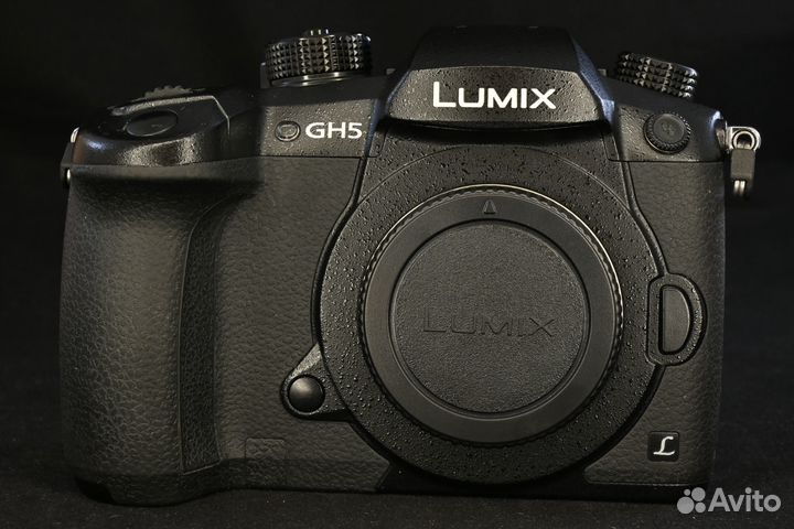Panasonic GH5 body пробег 10600