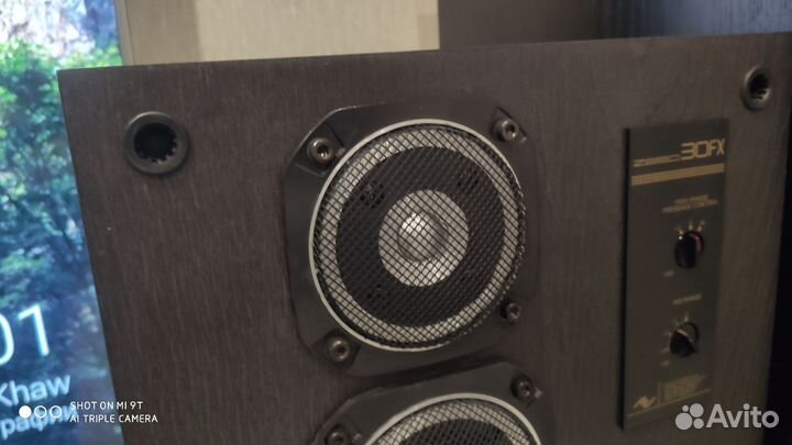 Акустическая система victor Zero 30 fx