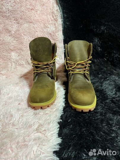 Timberland 6 inch