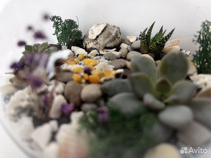 Флорариум на заказ