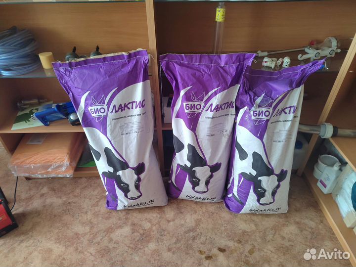 Заменитель цельного молока (зцм) биолактис 16