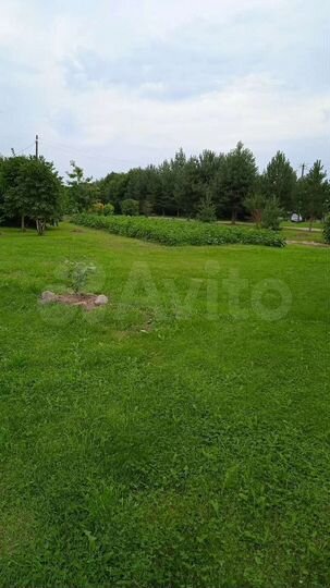 Участок 10 сот. (ИЖС)