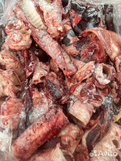 Мясо говядина для собак