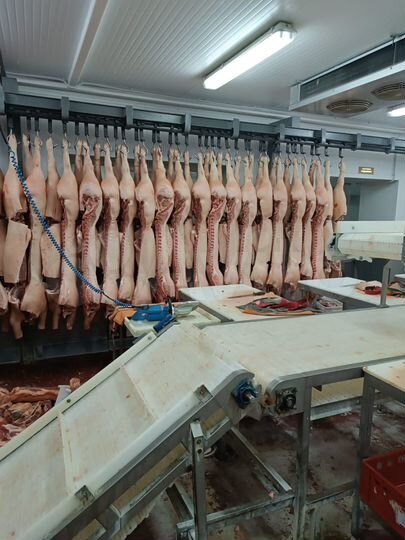 Здание, 1777 м²