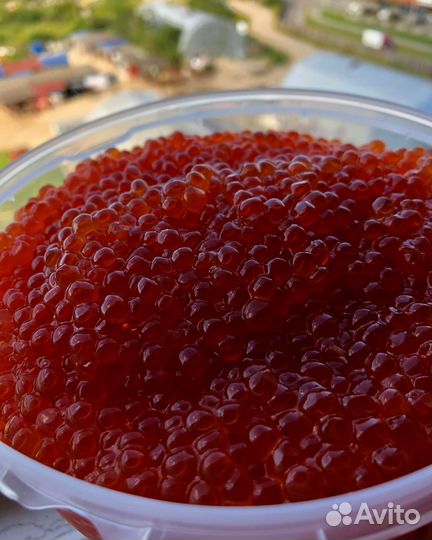 Красная икра Кижуч