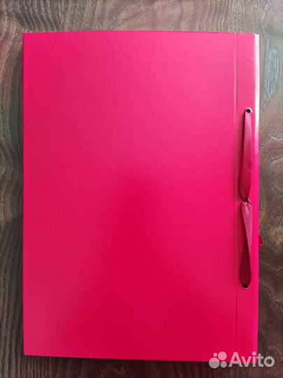 Папка дипломный проект (100листов)