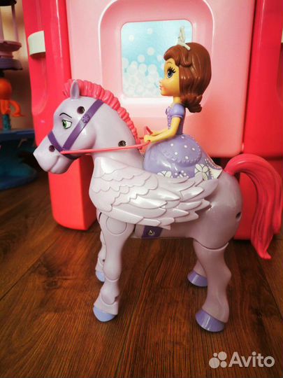 Принцесса София на лошади