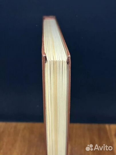 Овраги. Васька