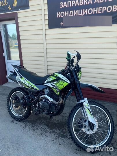 Racer Panther 300