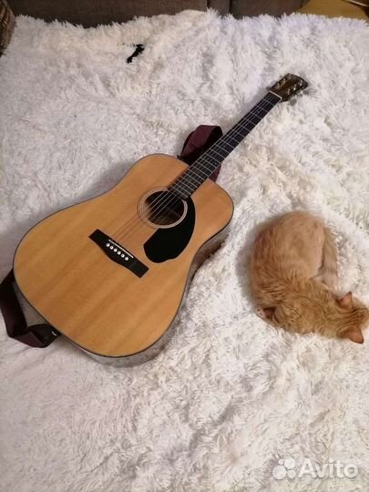 Акустическая гитара fender cd 60
