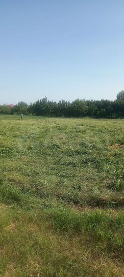 Участок 25 сот. (ИЖС)