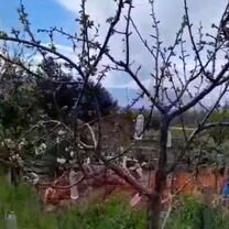 Участок 3,6 сот. (ИЖС), Ламия