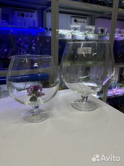 Аквариум круглый