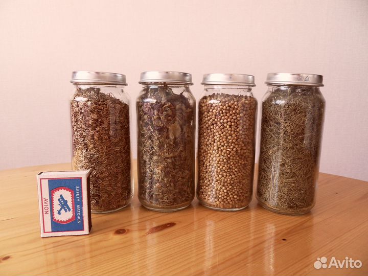 Базилик , укроп , кориандр , мята