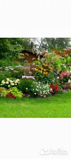 Уборка участка, вырубка, покос травы