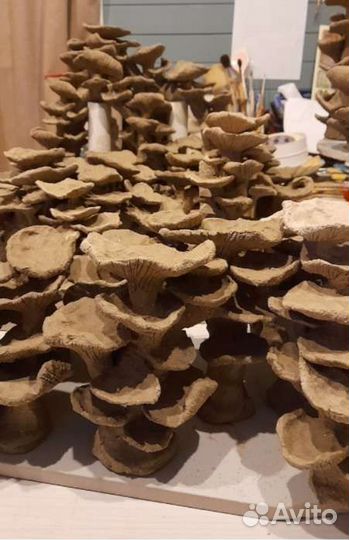 Кораллы, аквариум, интерьер