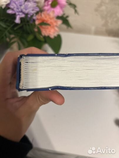 Книга Незнайка на луне