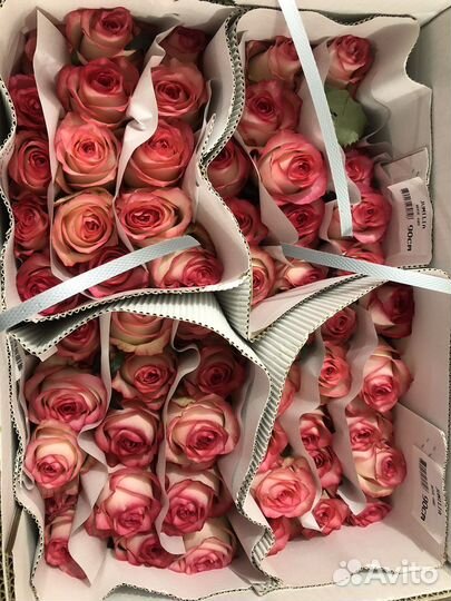 Розы оптом и в розницу