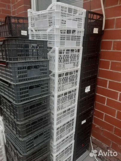 Пластиковые ящики бу
