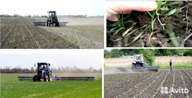 Борона Rubarz БМР-6,2, 2022