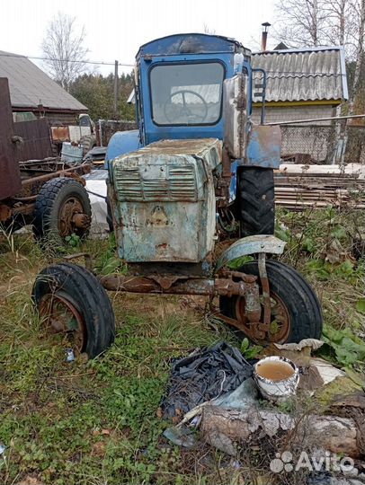 Трактор ЛТЗ Т-40, 1981