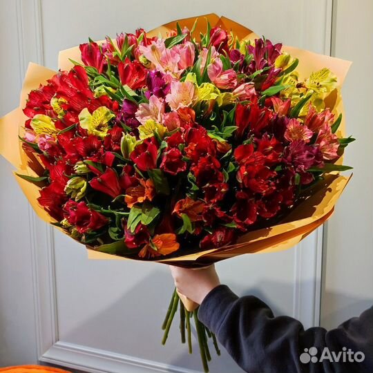 Цветы альстромерии опт