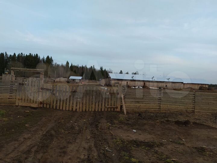 Участок 2 га (СНТ, ДНП)