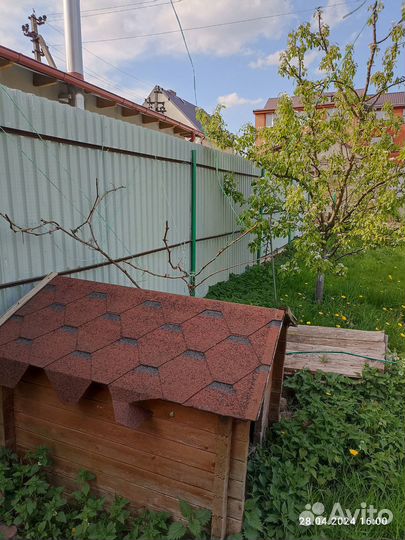 Будка для собаки