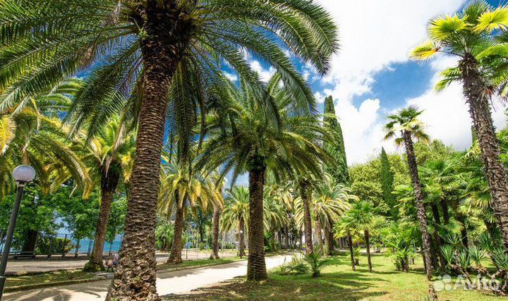 Путевки в пансионат «Нарт» - Абхазия, г. Гагра