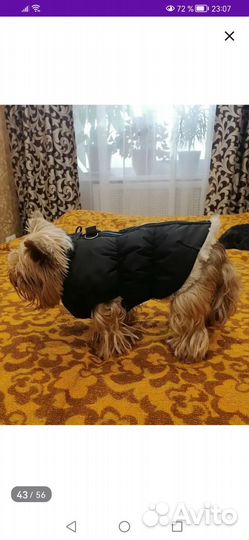 Куртка жилет для маленькой собачки