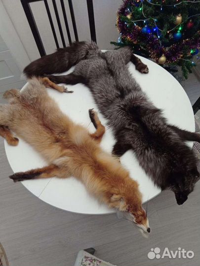 Шкура чернобурки и лисы