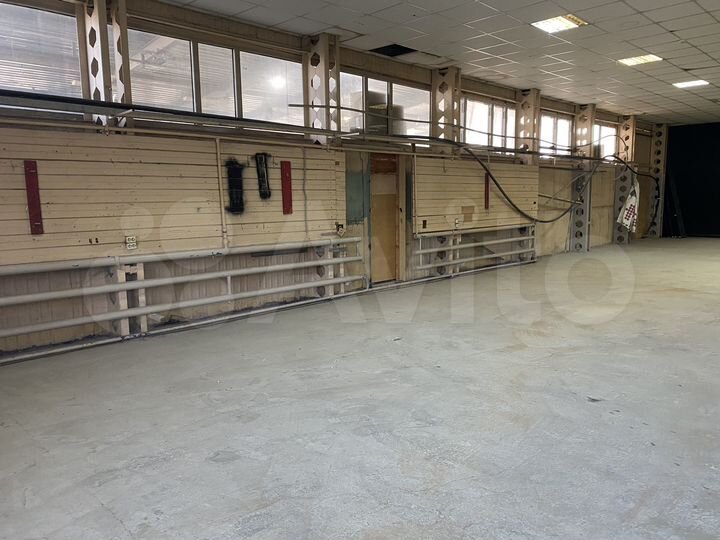 Свободного назначения, 272 м²